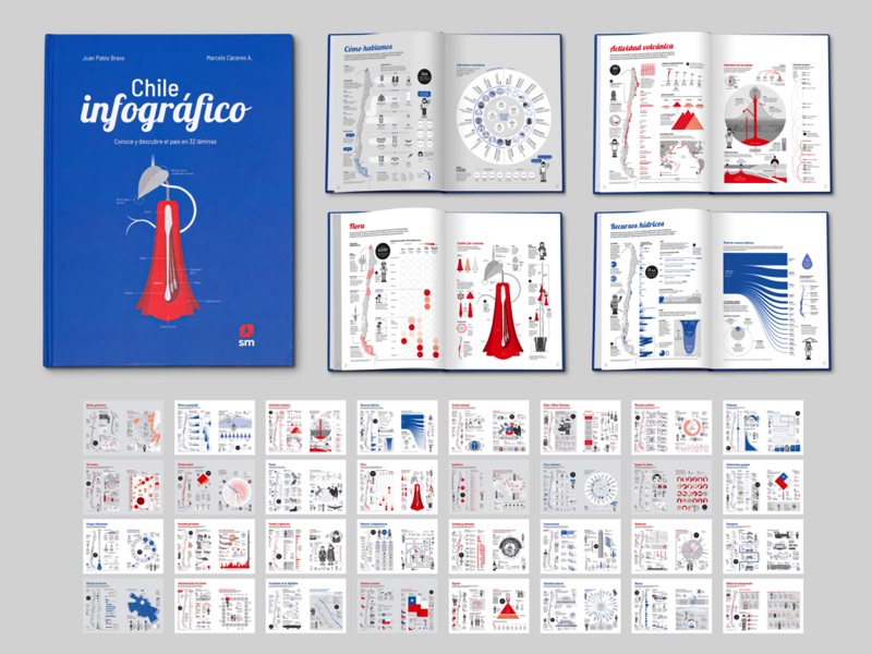 Libro Chile Infográfico