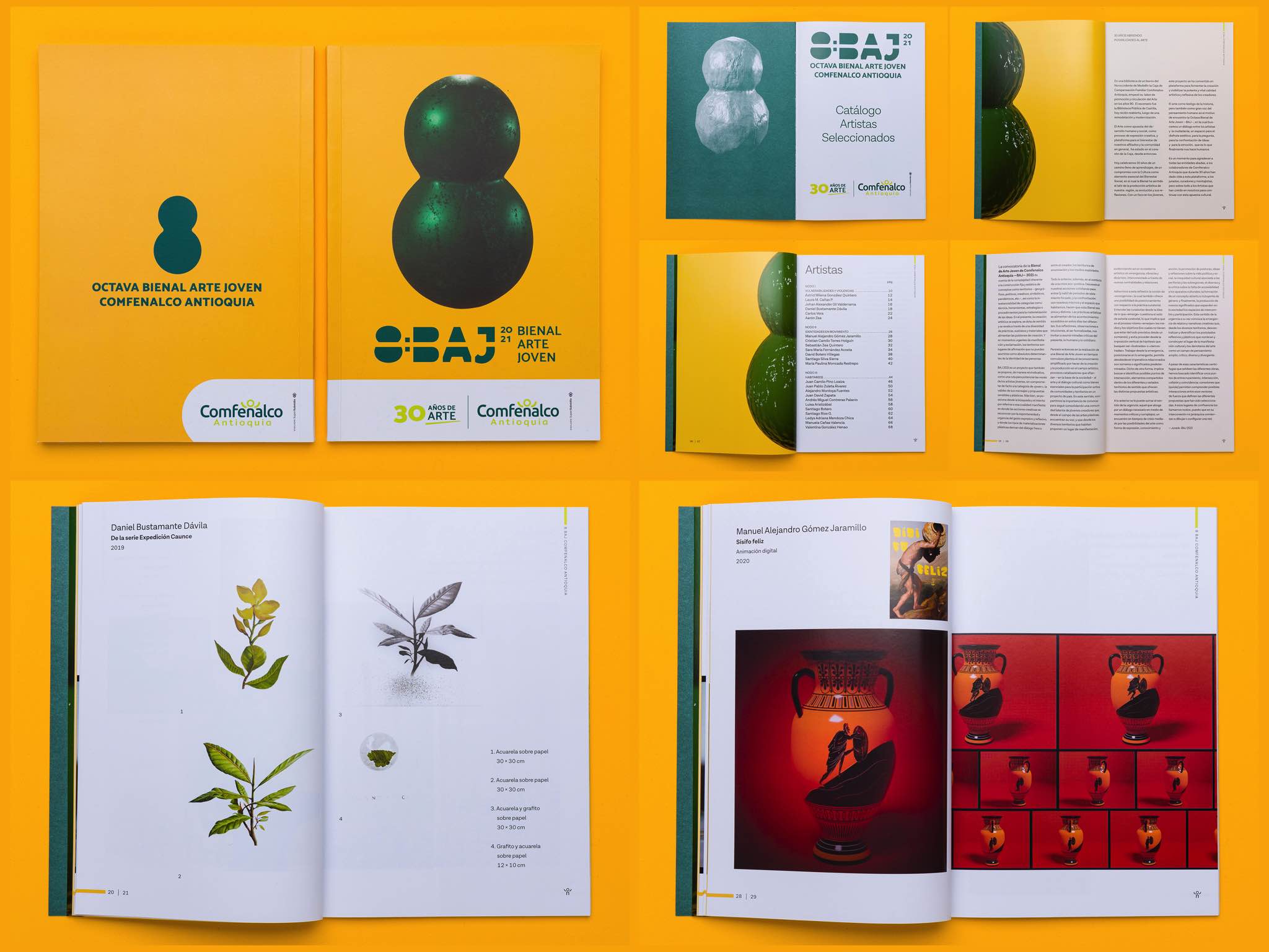 Catálogo 8a BAJ - Bienal Arte Joven