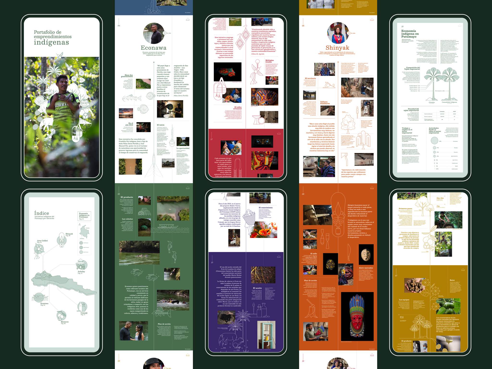 Portafolio de emprendimientos de la Amazonía Indígena